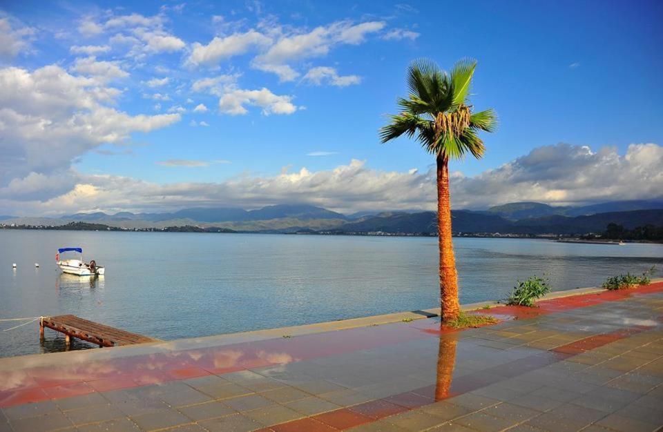 Carmina Hotel Oludeniz Ngoại thất bức ảnh